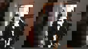 8F79dbe6 086C 4199 8Ee5 4A4c94e1332b