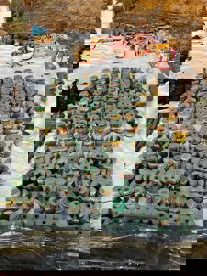 Whatsapp Image 2023 12 07 At 17.24.38 (1)