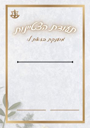 הצטיינות 3