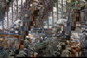 C7e14cf2 8735 44Ce B1ae D7d8520c6146