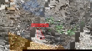 09756968 49C8 4813 A276 7406656E0f51