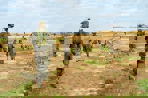 4A335459 5Aec 423B A5bf Bb4a170de18b