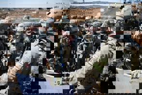 Whatsapp Image 2025 03 09 At 14.33.00 (1) (1)