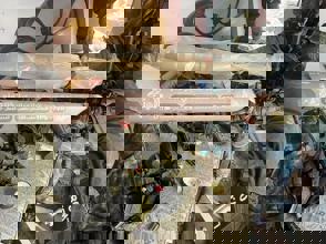 1C98a1e3 4Dfa 4223 8A60 F7e061da48b2