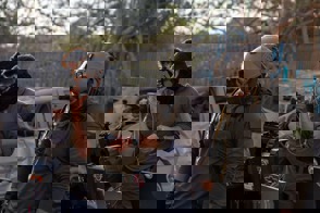 7367Cce9 9Dfa 46E8 95Ad 027590169Cdb