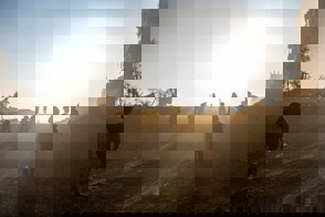 6Ad44aa2 Ee51 44F3 8059 6Da63705e4cb