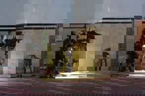 Whatsapp Image 2024 02 10 At 20.43.47
