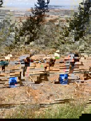 86Dd1f8a C238 44C4 9004 Cb373f529148