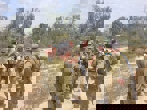 Whatsapp Image 2025 11 16 At 14.42.55 (1)