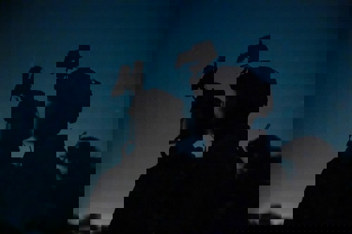 صورة من نشاط القوات 1