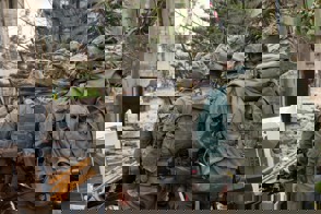 Af954fec 402C 4B71 A06e 1D3f0cdd1aab