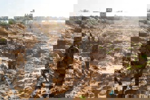 רבמד מתמרנת 6