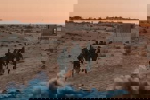 6395C543 7054 481E A814 5E164b8b3c49