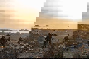 בוקר0