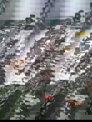 Whatsapp Image 2024 01 15 At 01.11.35