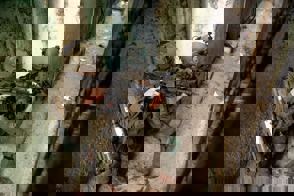 6C89d870 Ccb1 408E 8Fa4 A52ece0695d2