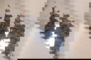 6003433616685780436