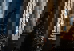 0553Fbd4 2303 4685 B040 Fb155ad3a2d0 (1)