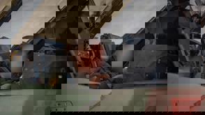 99Adbb5e D062 4A54 Be6f C26d7fa8974f (1)