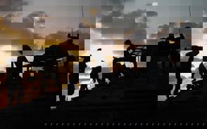 8E2a5623 9C3c 46B7 B917 5C77a6d81b81