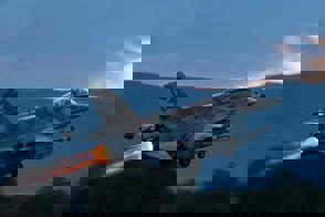 407Debc8 7A9e 4059 B84c 0Fdeaf9ffcb0